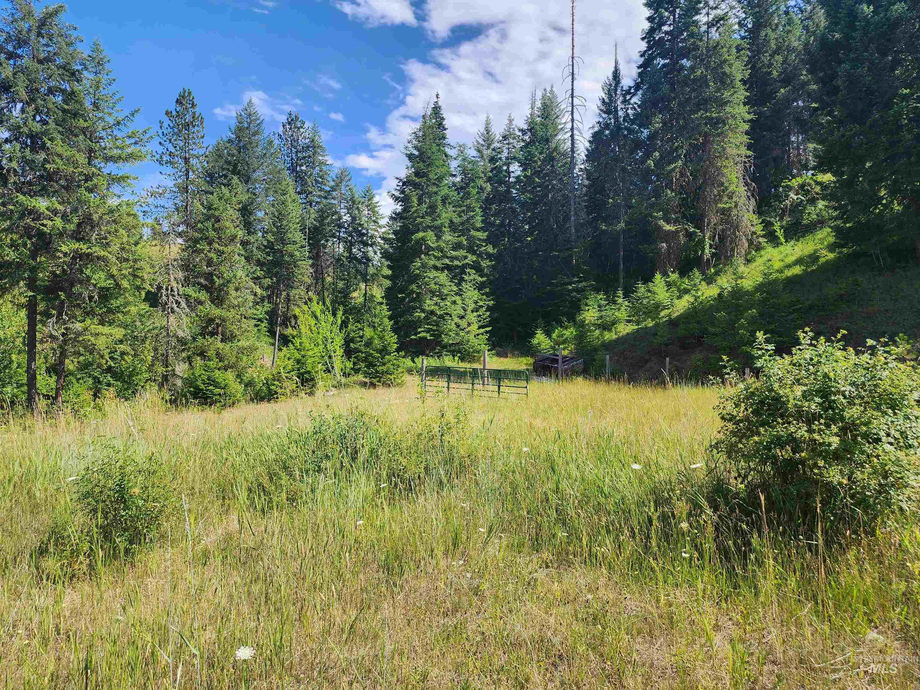 126 Shira Road Stites, ID 83552 - Photo 17 of 45