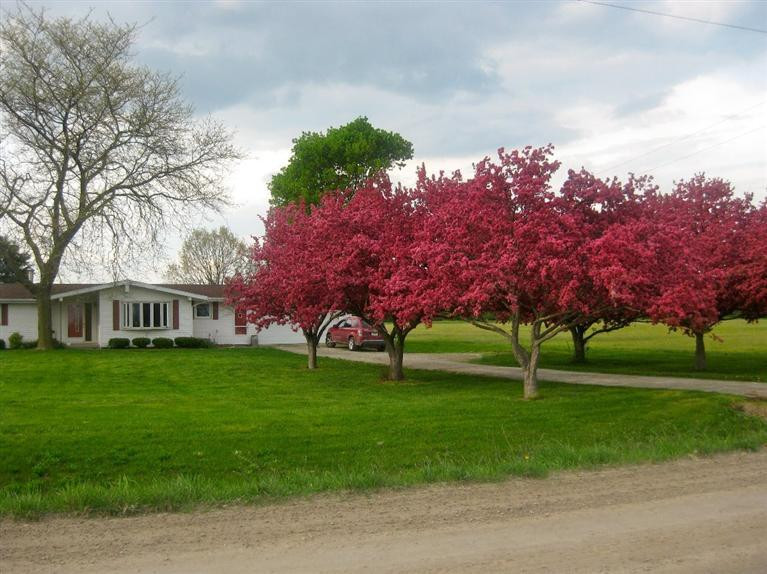15000 Sherman Road Milan, MI 48160 - Photo 31 of 32 Photo 31