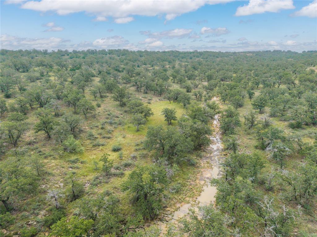 11814 County Road 266 Rochelle, TX 76872 - Photo 15 of 40 a view of a field with trees in background