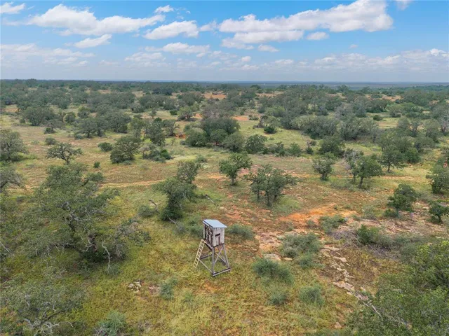 a view of a bunch of trees in a field