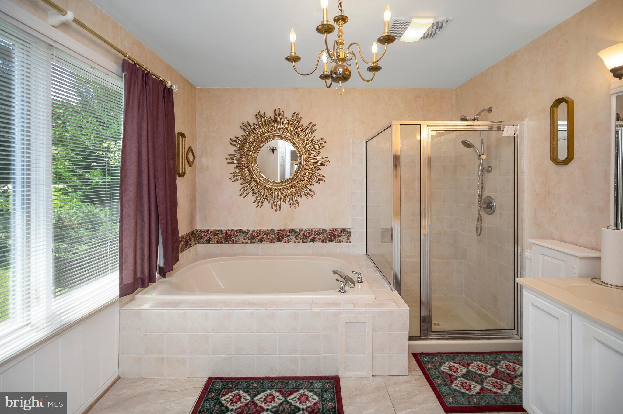 102 Flat Run Locust Grove, VA 22508 - Photo 25 of 60 Soaking tub and separate shower