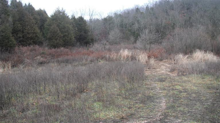 62 Owenton Road Stamping Ground, KY 40379 - Photo 19 of 19 This is an area of the property leading