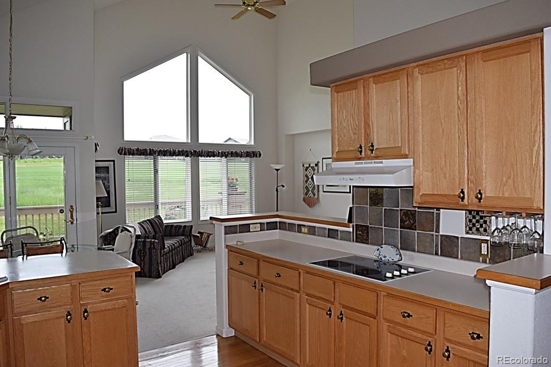 15941 Deer Ridge Drive Morrison, CO 80465 - Photo 11 of 28 Gallery Image 11