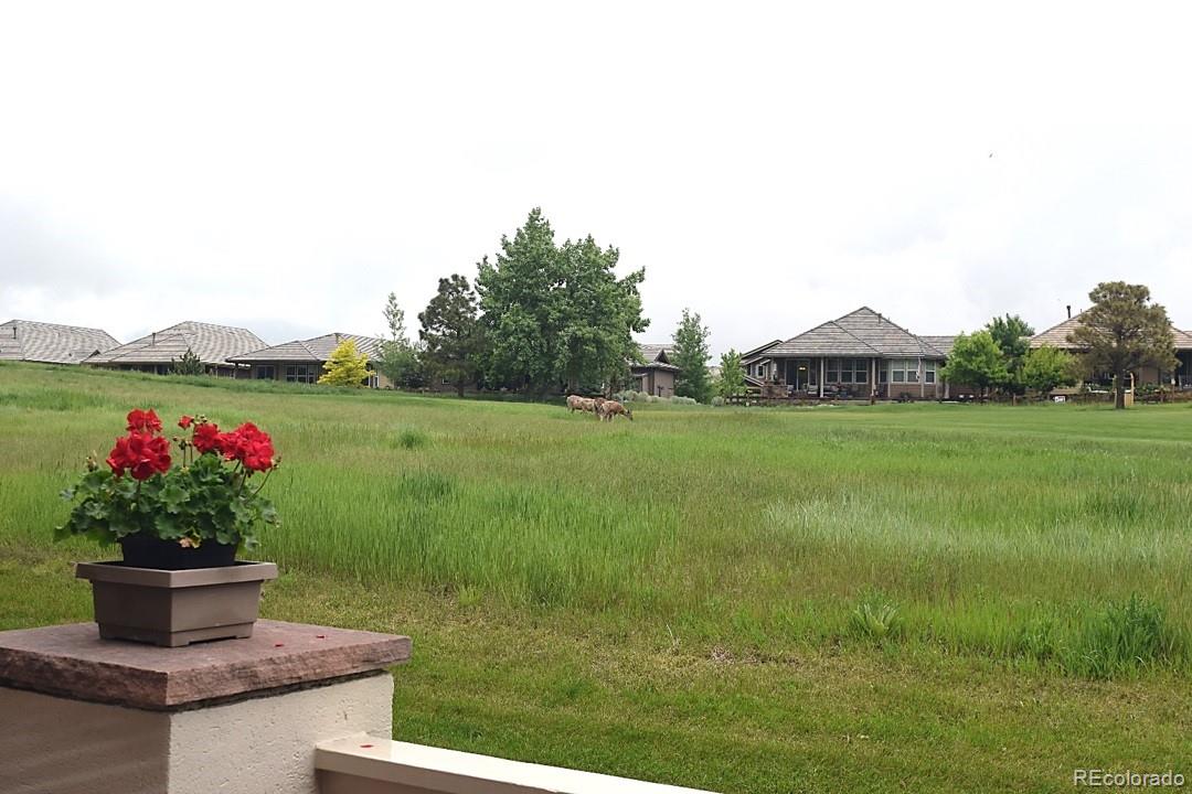 15941 Deer Ridge Drive Morrison, CO 80465 - Photo 23 of 28 Gallery Image 23