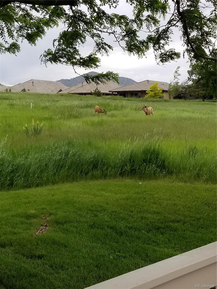 15941 Deer Ridge Drive Morrison, CO 80465 - Photo 25 of 28 Gallery Image 25
