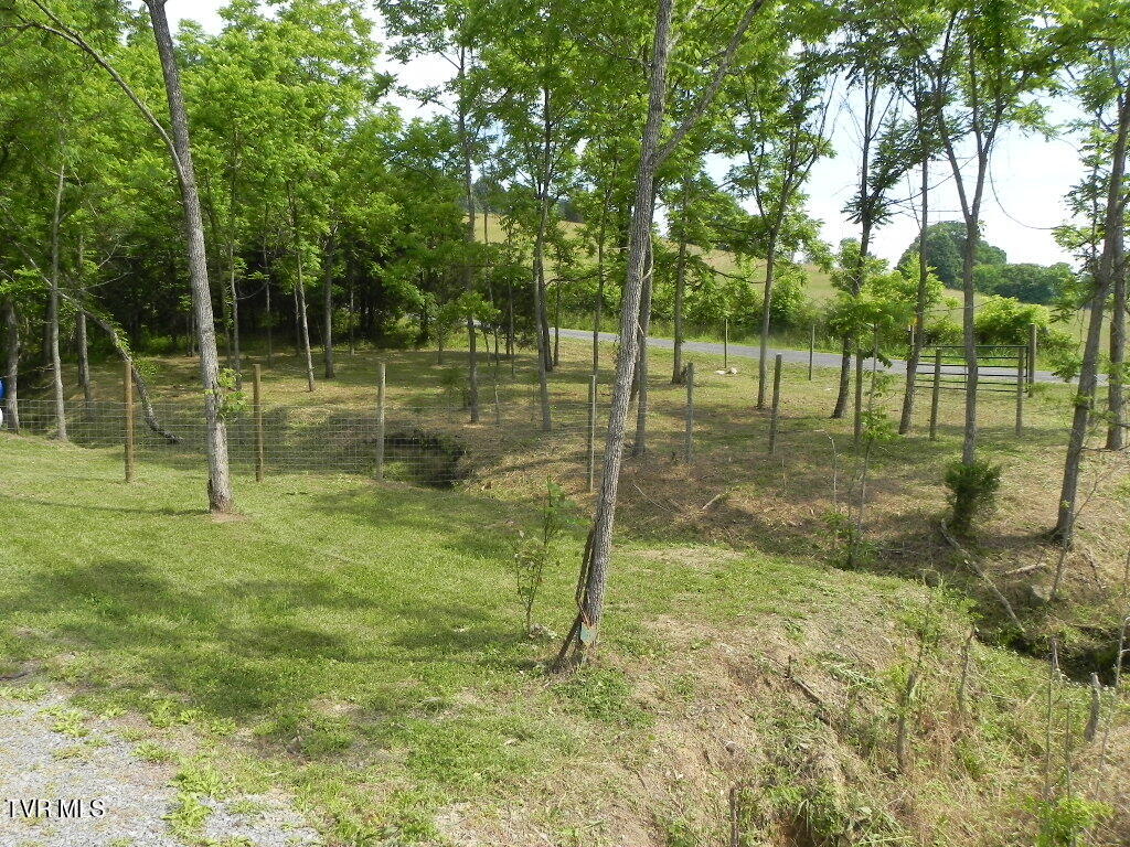 804 Webster Valley Road Rogersville, TN 37857 - Photo 3 of 16 DSCN0055