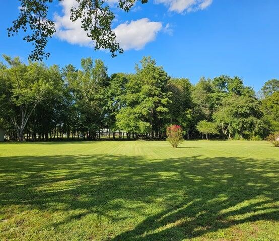 4445 Green Shadow Road Southeast Cleveland, TN 37323 - Photo 3 of 5 Gallery Image 3