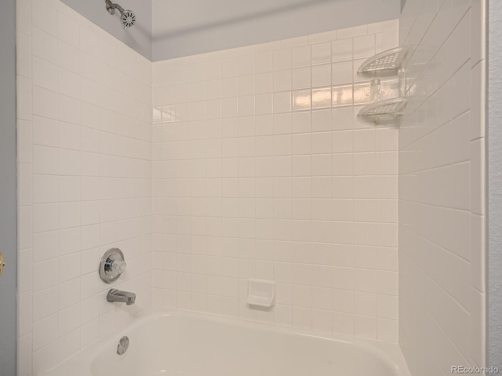 9685 South Castle Ridge Circle Highlands Ranch, CO 80129 - Photo 16 of 28