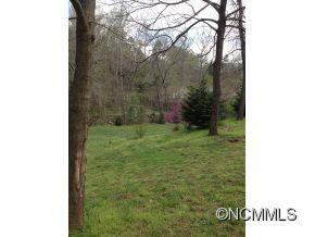 97 Hickory Tree Road Asheville, NC 28805 - Photo 3 of 17 Gallery Image 3
