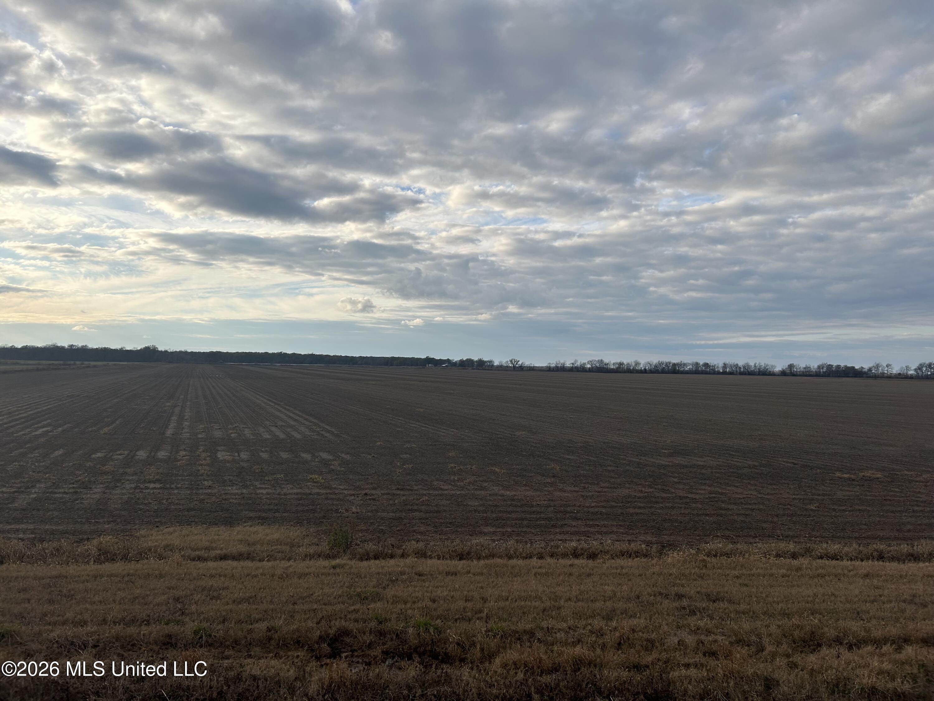 Hot Thornton Road Tunica, MS 38676 - Photo 11 of 18 12