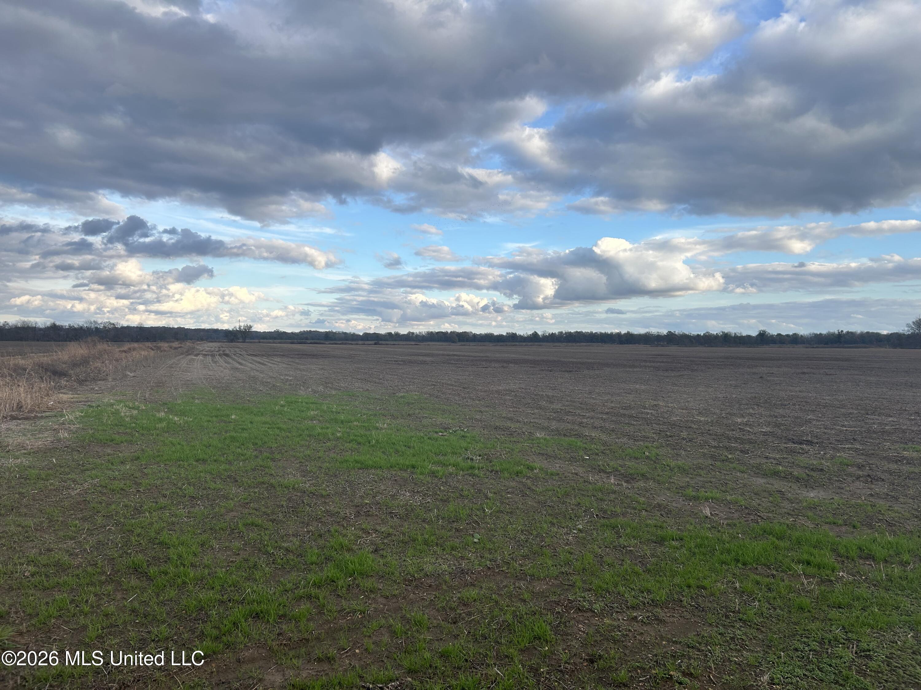 Hot Thornton Road Tunica, MS 38676 - Photo 13 of 18 14