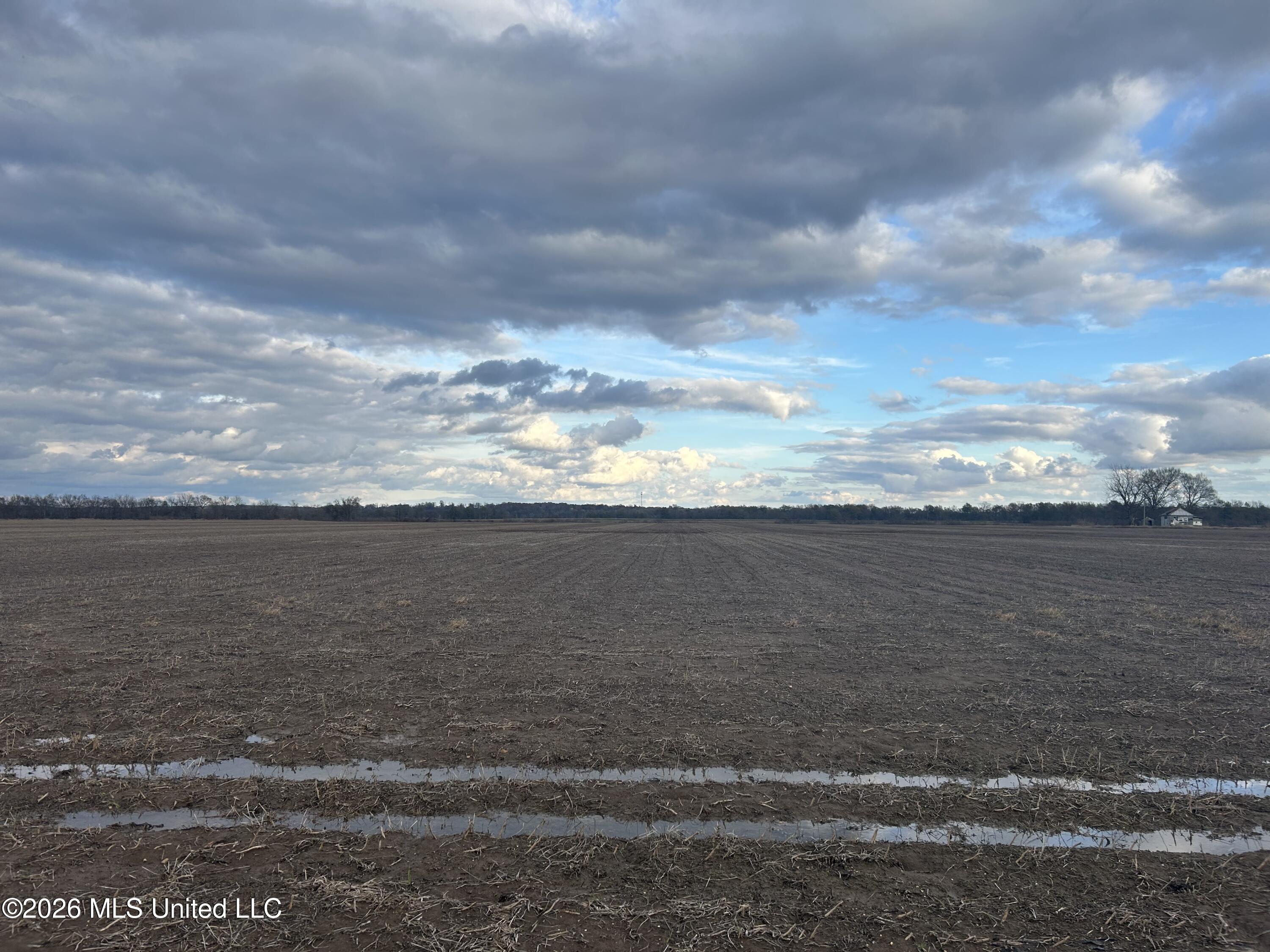 Hot Thornton Road Tunica, MS 38676 - Photo 3 of 18 3