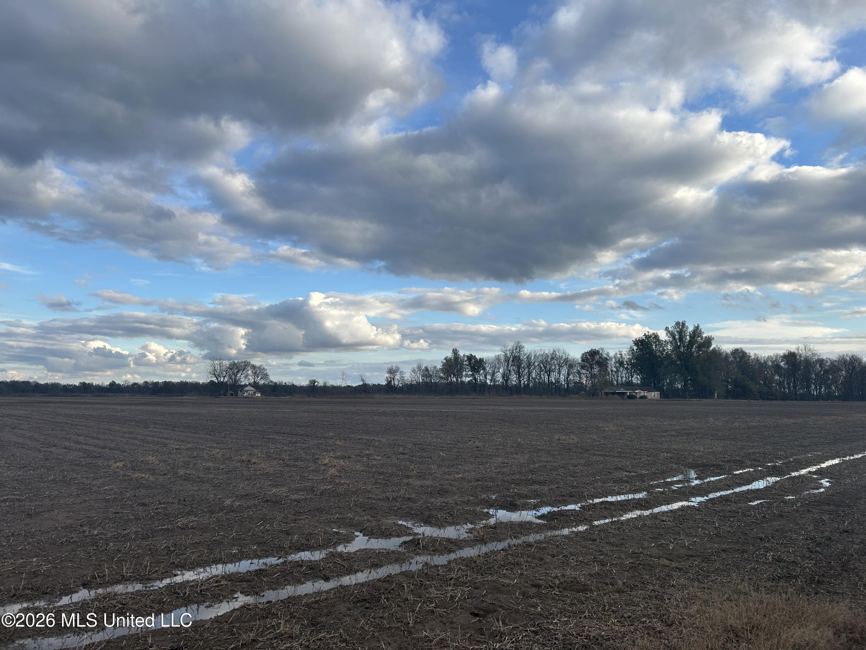 Hot Thornton Road Tunica, MS 38676 - Photo 6 of 18 6