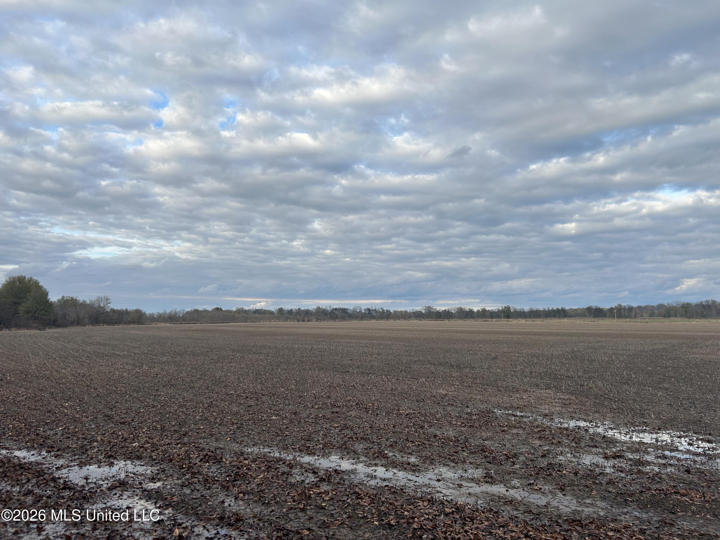 Hot Thornton Road Tunica, MS 38676 - Photo 7 of 18 8