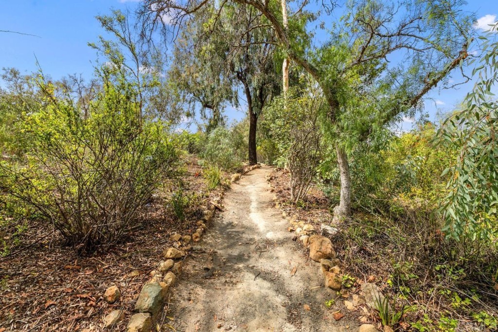 3303 Bumann Road Encinitas, CA 92024 - Photo 44 of 50 a view of a yard with plants and trees
