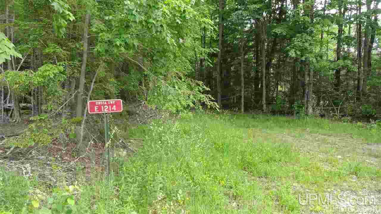 1214 Burning Road Deerton, MI 49822 - Photo 25 of 27