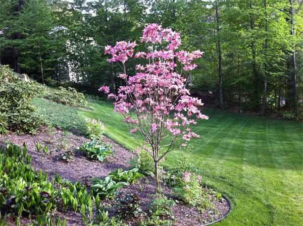 44 Warren Wright Road Belchertown, MA 01007 - Photo 4 of 29