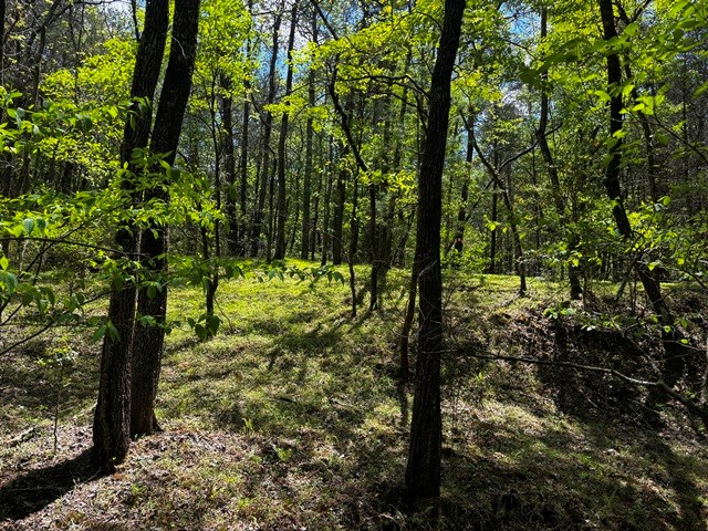 1190 Maple Grove Road Morganton, GA 30560 - Photo 39 of 96