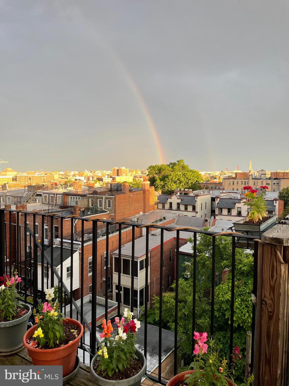 1860 California Street Northwest, Unit 403 Washington, DC 20009 - Photo 44 of 52 Rainbow after a spring shower