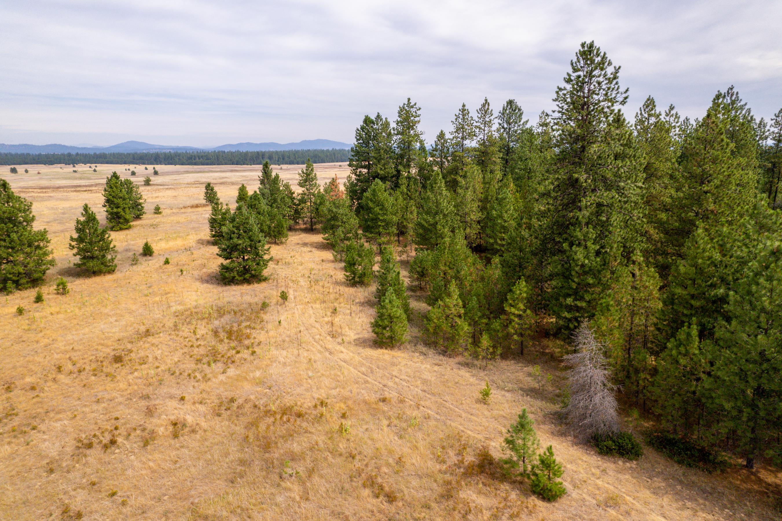Xx West Montgomery Road Deer Park, WA 99006 - Photo 11 of 44 Gallery Image 11