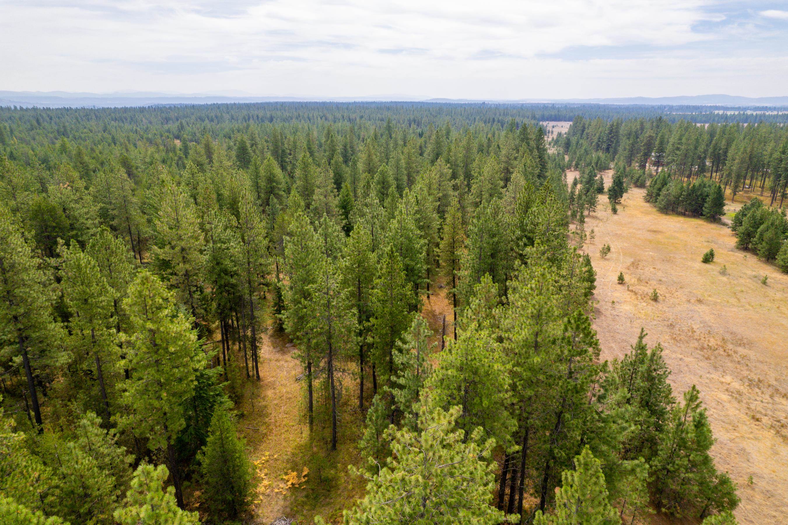 Xx West Montgomery Road Deer Park, WA 99006 - Photo 13 of 44 Gallery Image 13