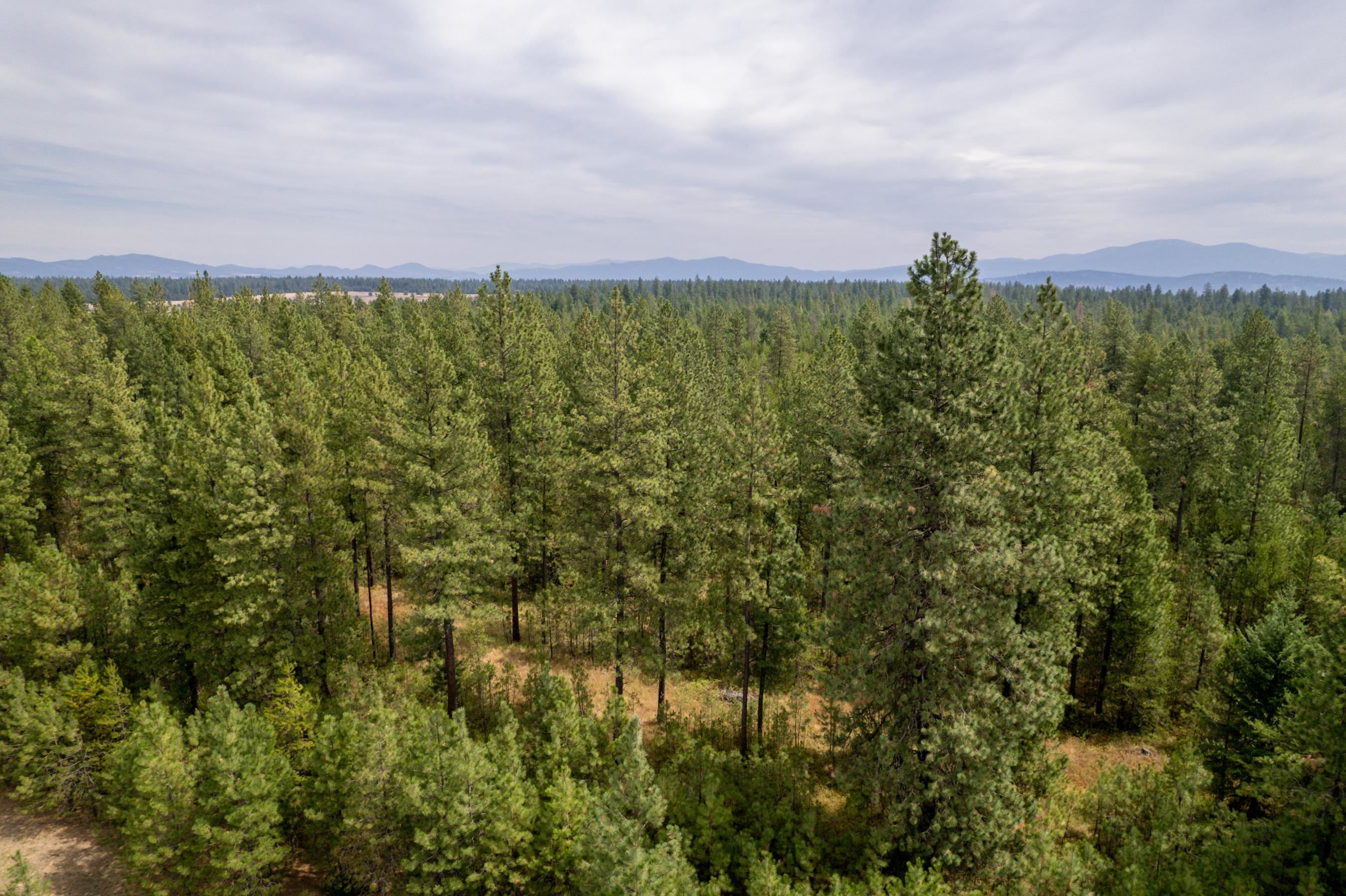 Xx West Montgomery Road Deer Park, WA 99006 - Photo 20 of 44 Gallery Image 20