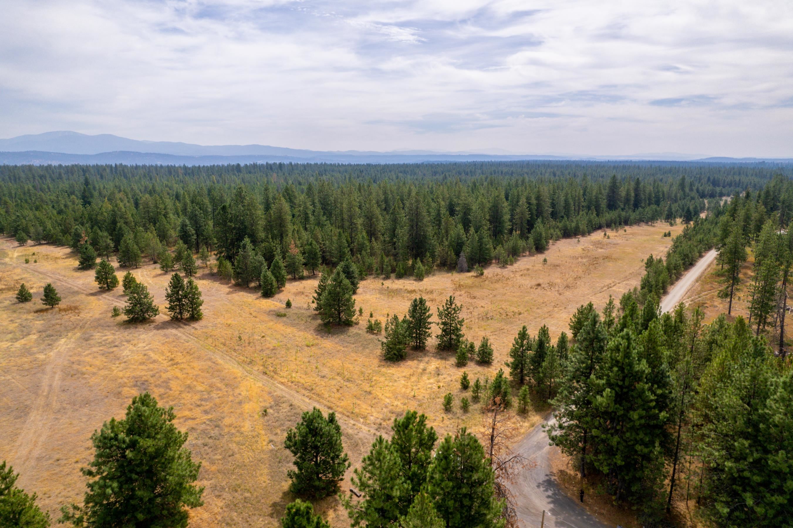 Xx West Montgomery Road Deer Park, WA 99006 - Photo 2 of 44 Gallery Image 2