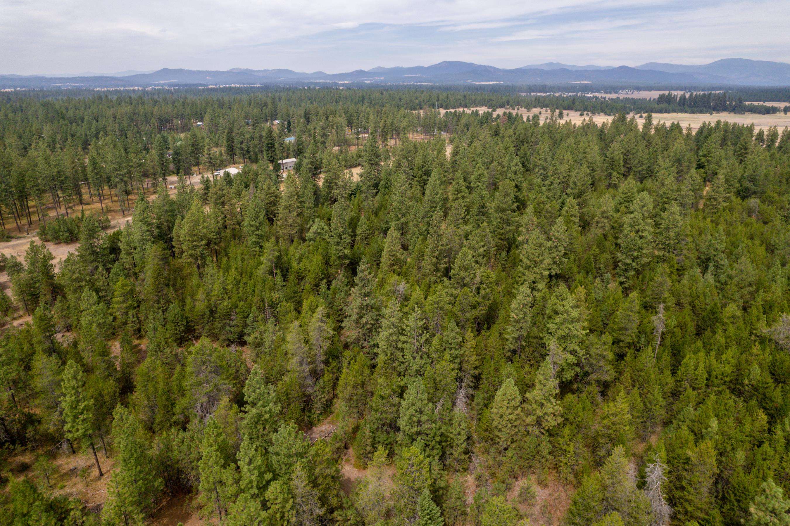 Xx West Montgomery Road Deer Park, WA 99006 - Photo 22 of 44 Gallery Image 22