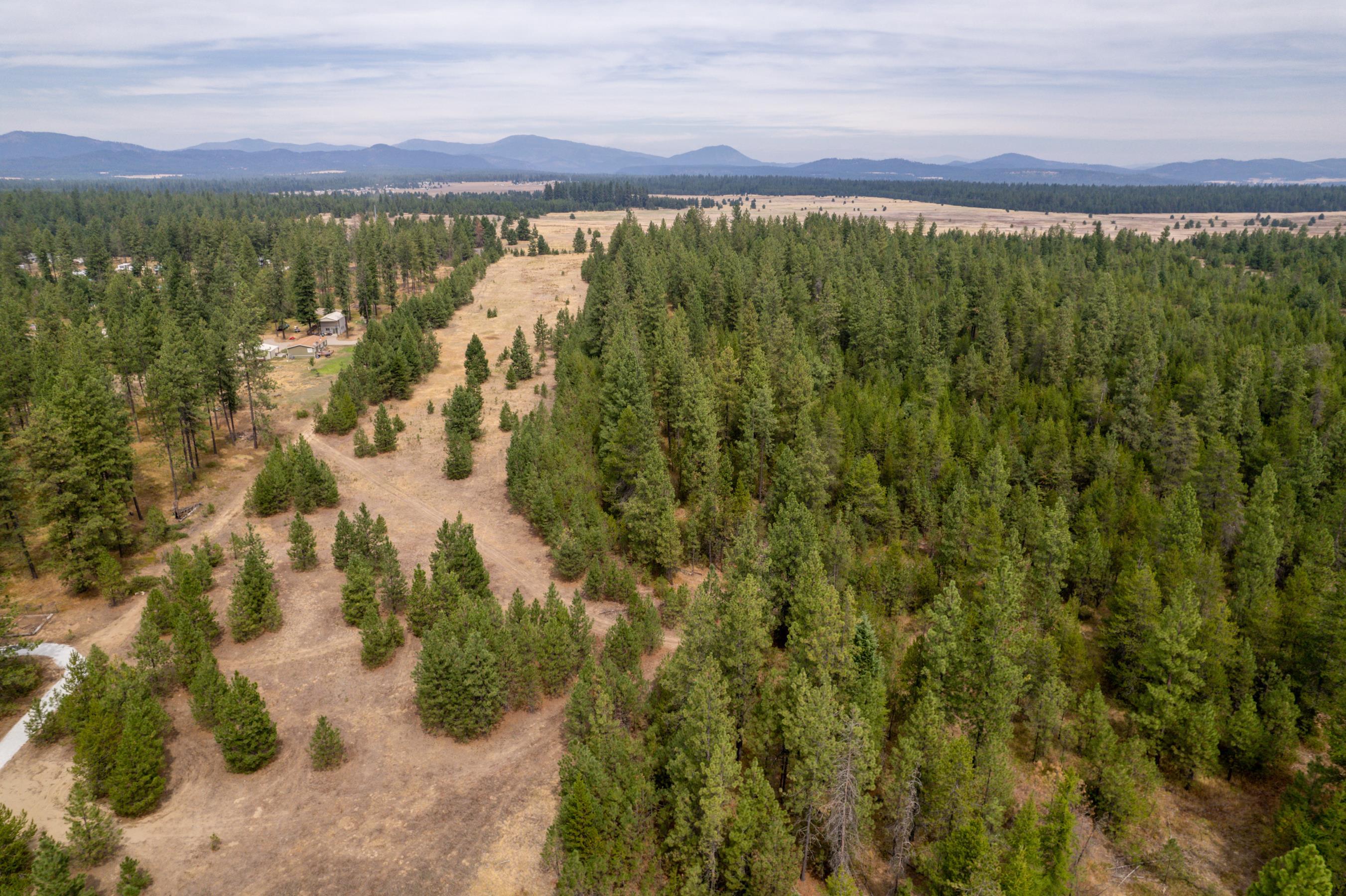 Xx West Montgomery Road Deer Park, WA 99006 - Photo 23 of 44 Gallery Image 23