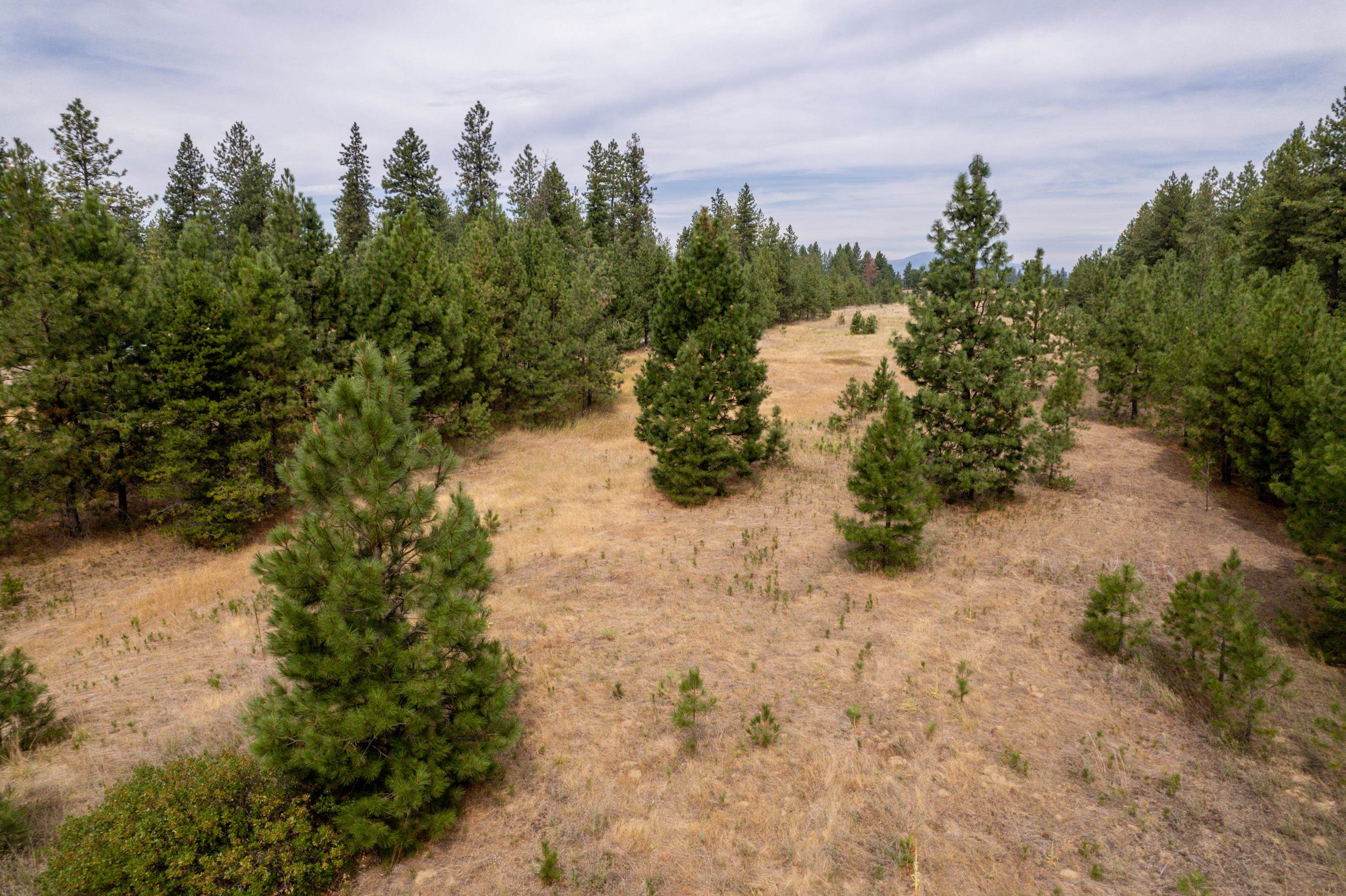 Xx West Montgomery Road Deer Park, WA 99006 - Photo 25 of 44 Gallery Image 25