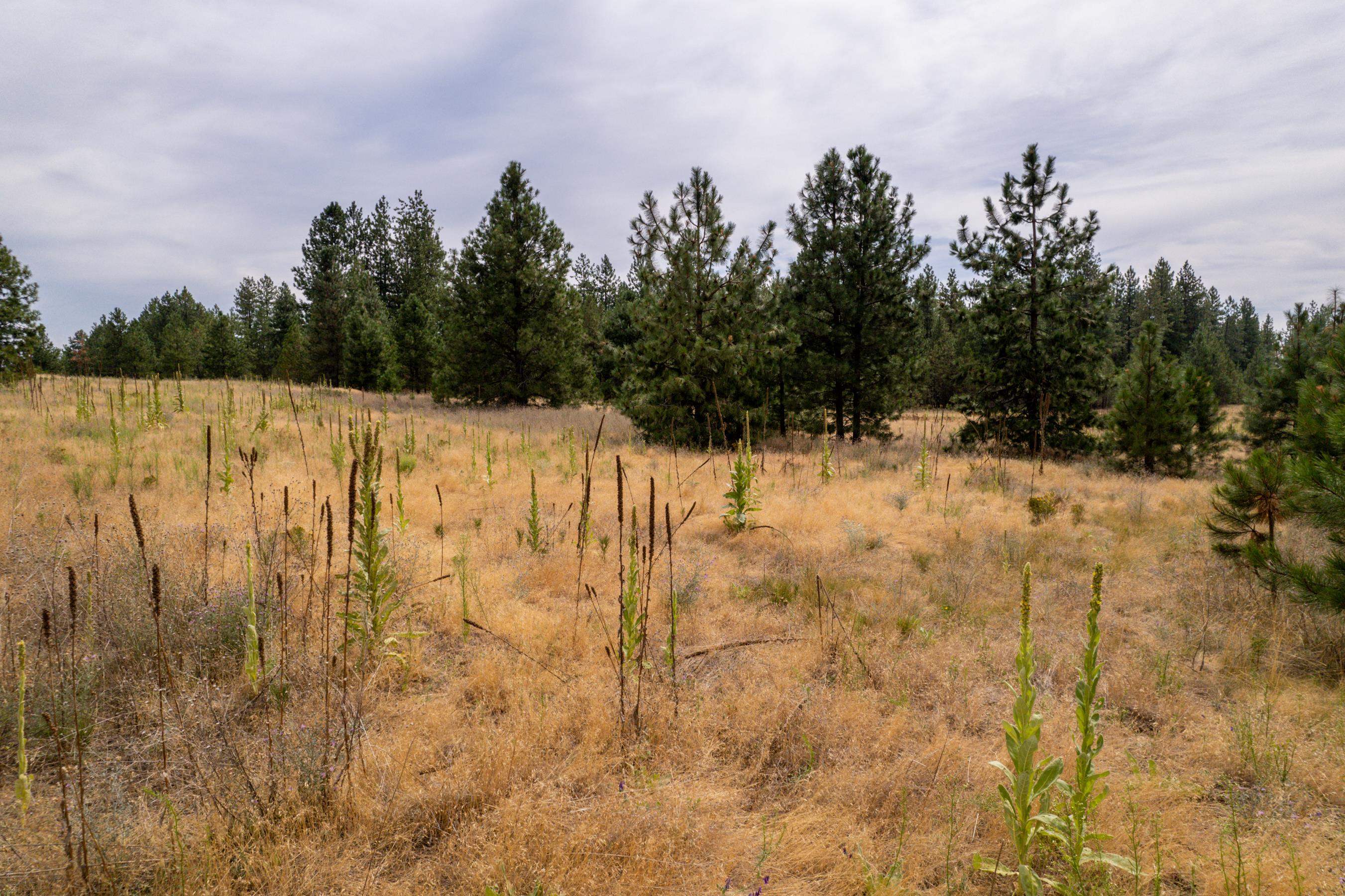 Xx West Montgomery Road Deer Park, WA 99006 - Photo 27 of 44 Gallery Image 27