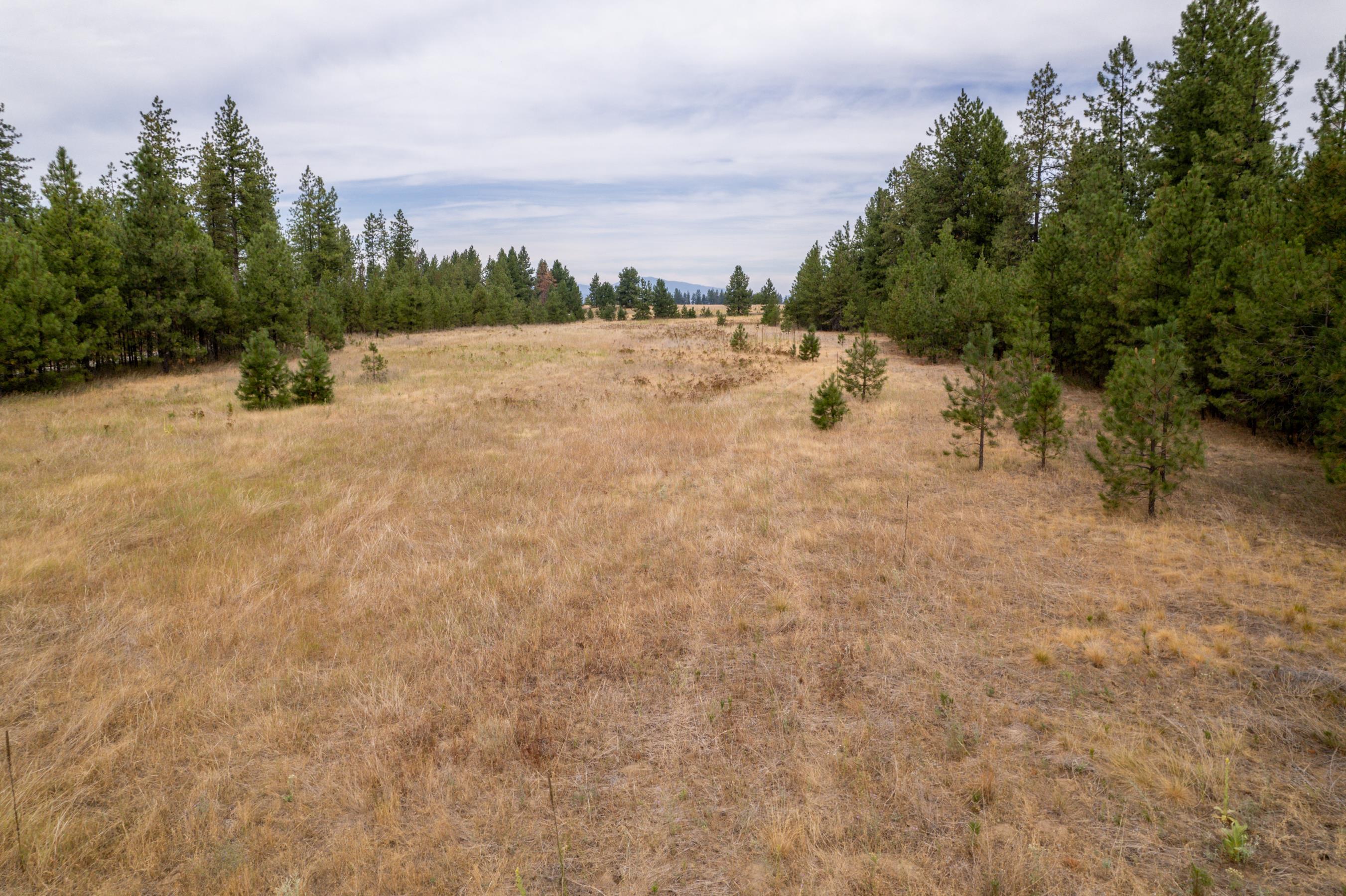 Xx West Montgomery Road Deer Park, WA 99006 - Photo 30 of 44 Gallery Image 30