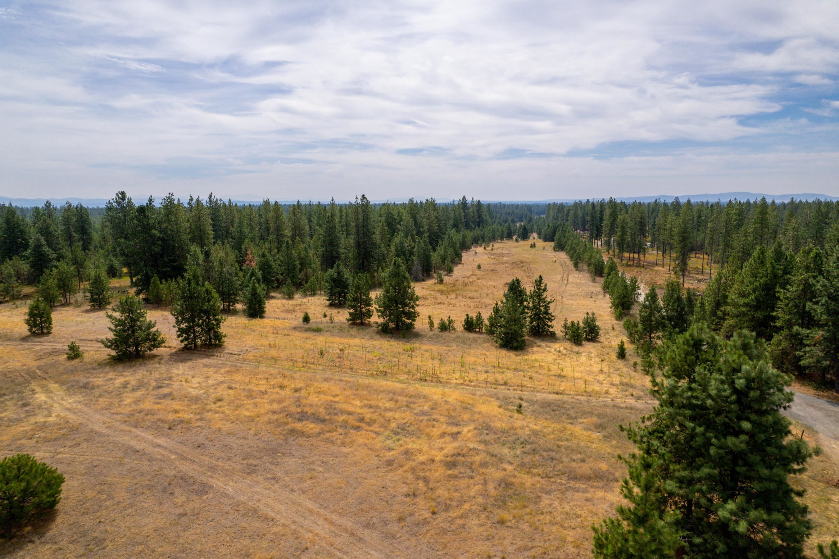 Xx West Montgomery Road Deer Park, WA 99006 - Photo 3 of 44 Gallery Image 3