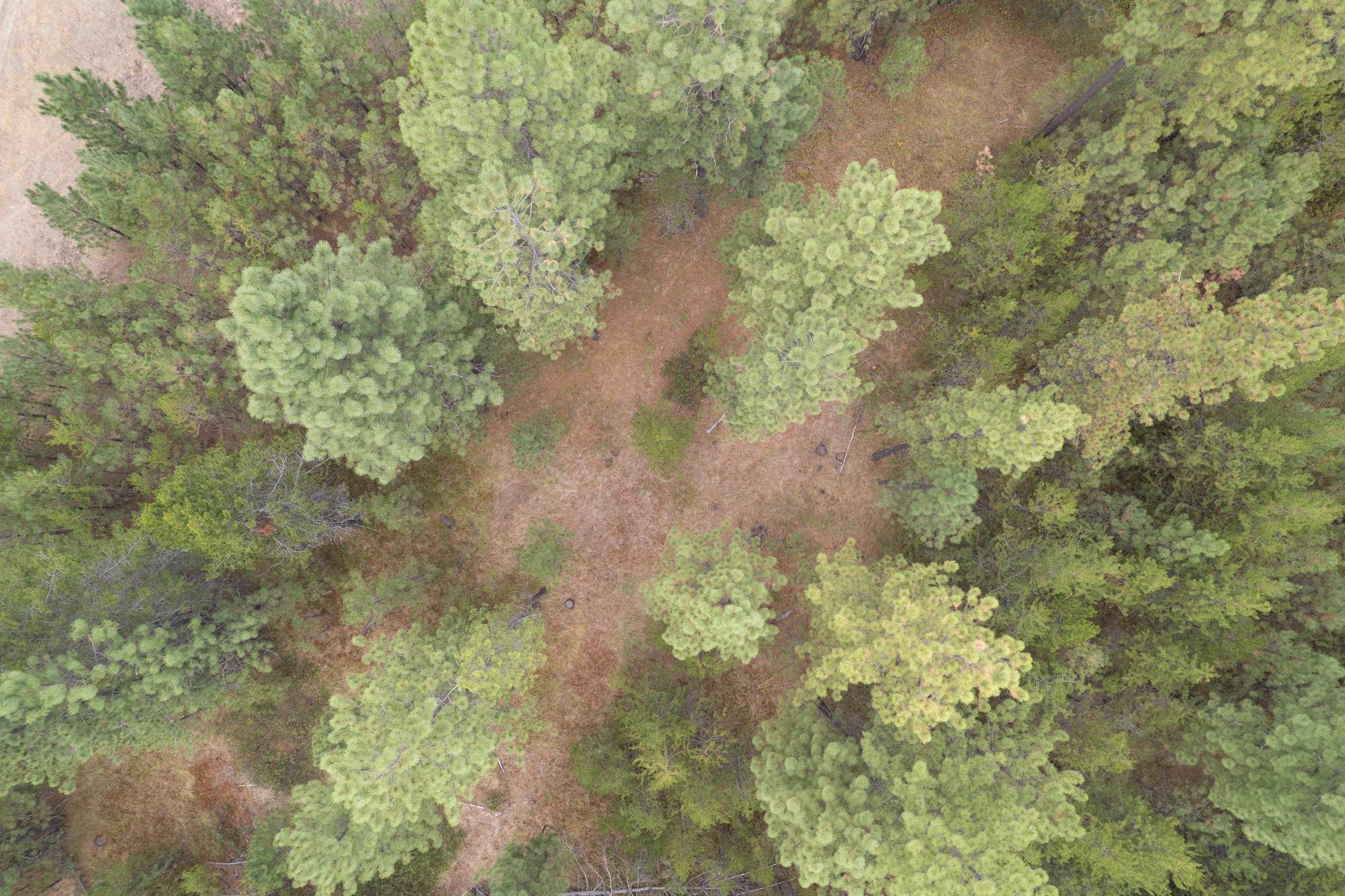 Xx West Montgomery Road Deer Park, WA 99006 - Photo 34 of 44 Gallery Image 34