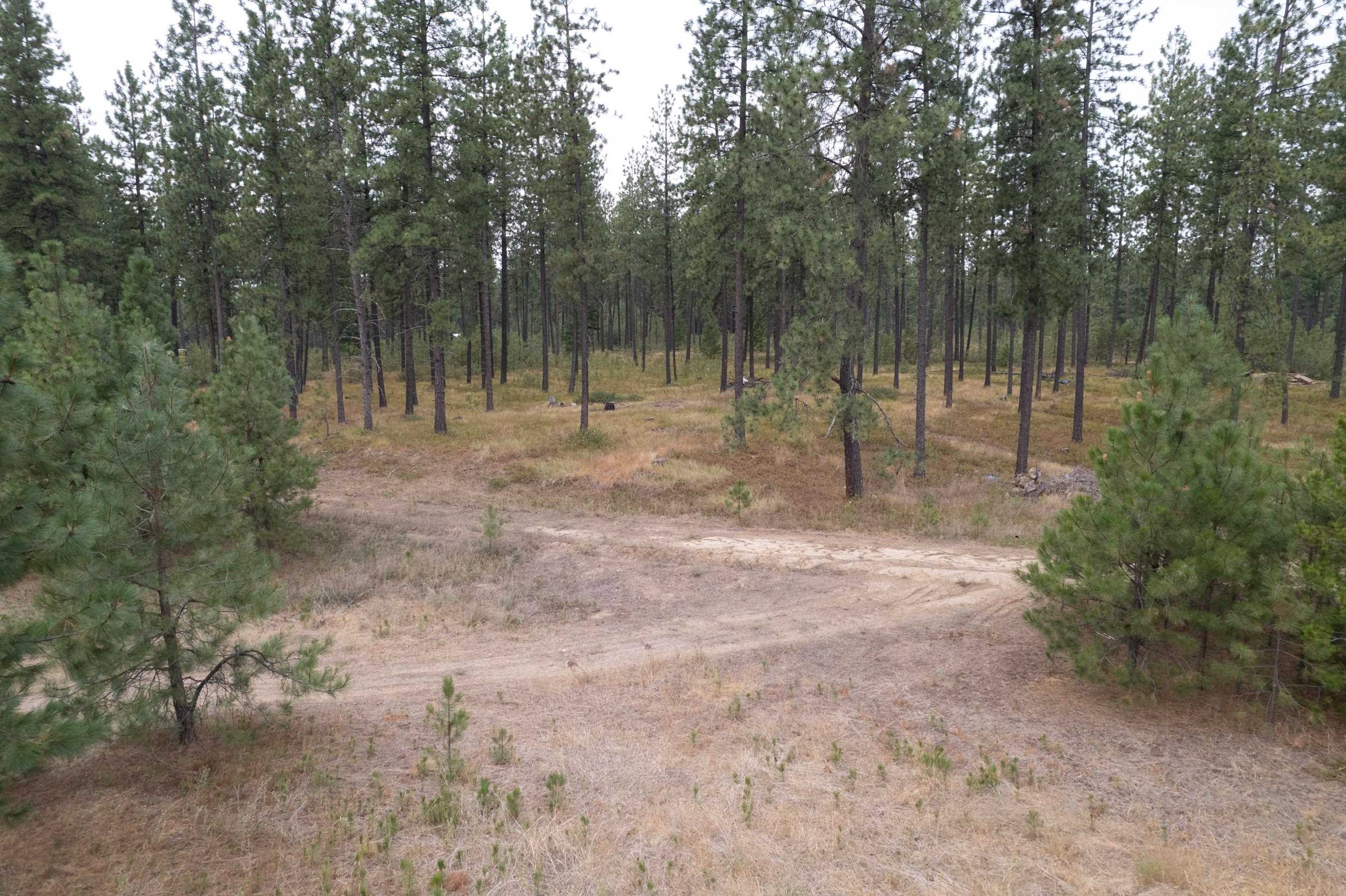 Xx West Montgomery Road Deer Park, WA 99006 - Photo 36 of 44 Gallery Image 36