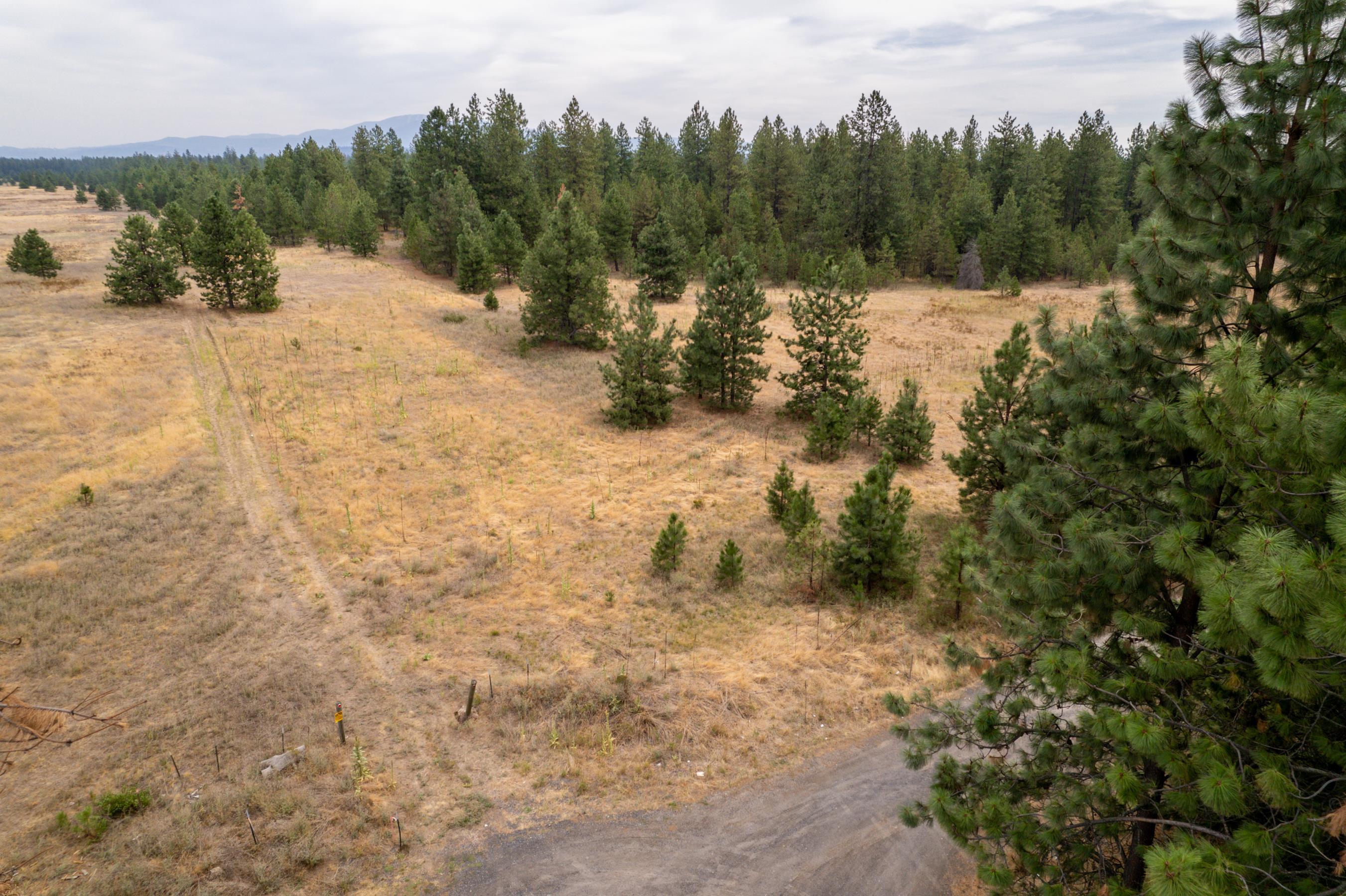 Xx West Montgomery Road Deer Park, WA 99006 - Photo 38 of 44 Gallery Image 38