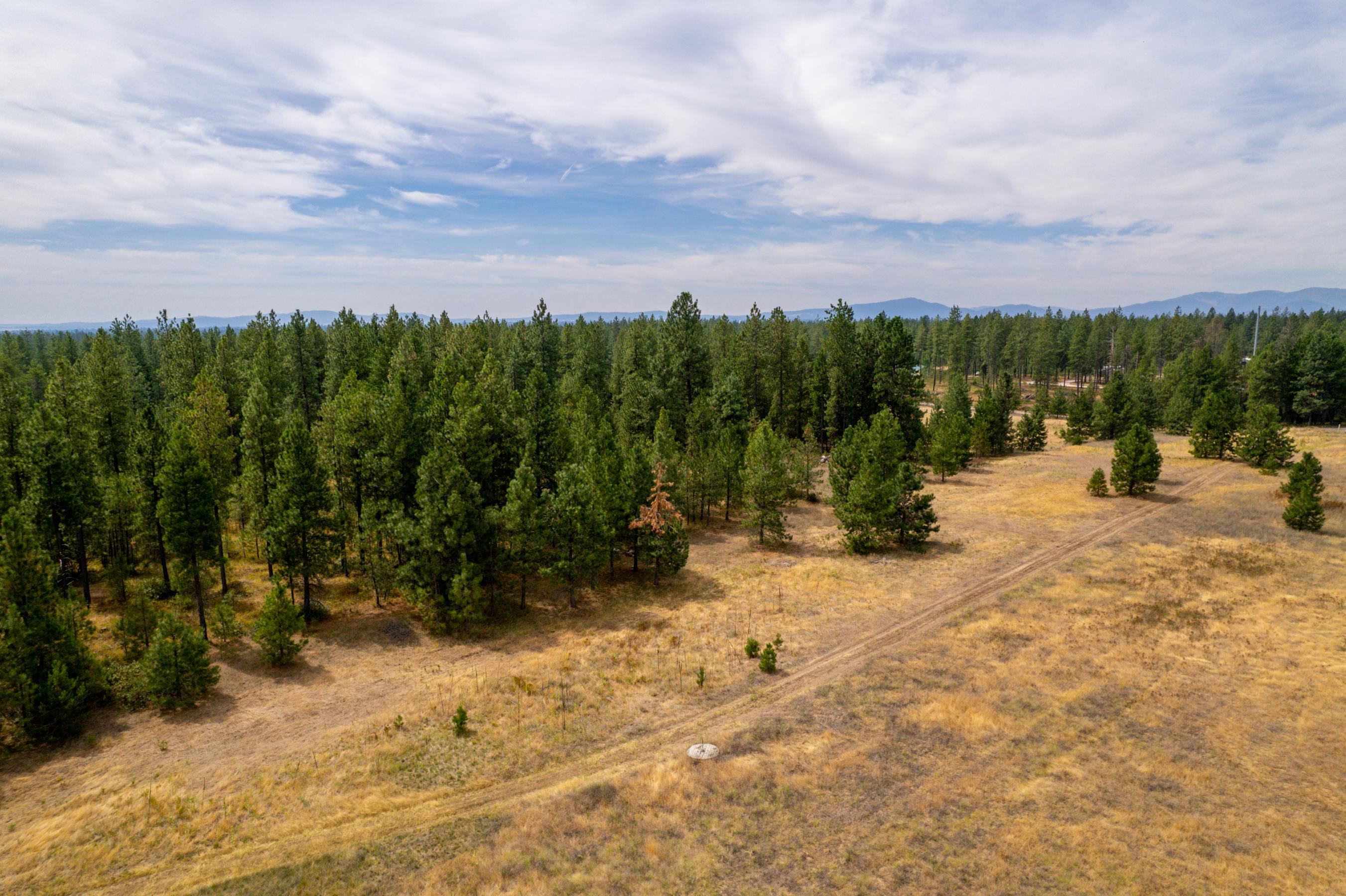 Xx West Montgomery Road Deer Park, WA 99006 - Photo 4 of 44 Gallery Image 4