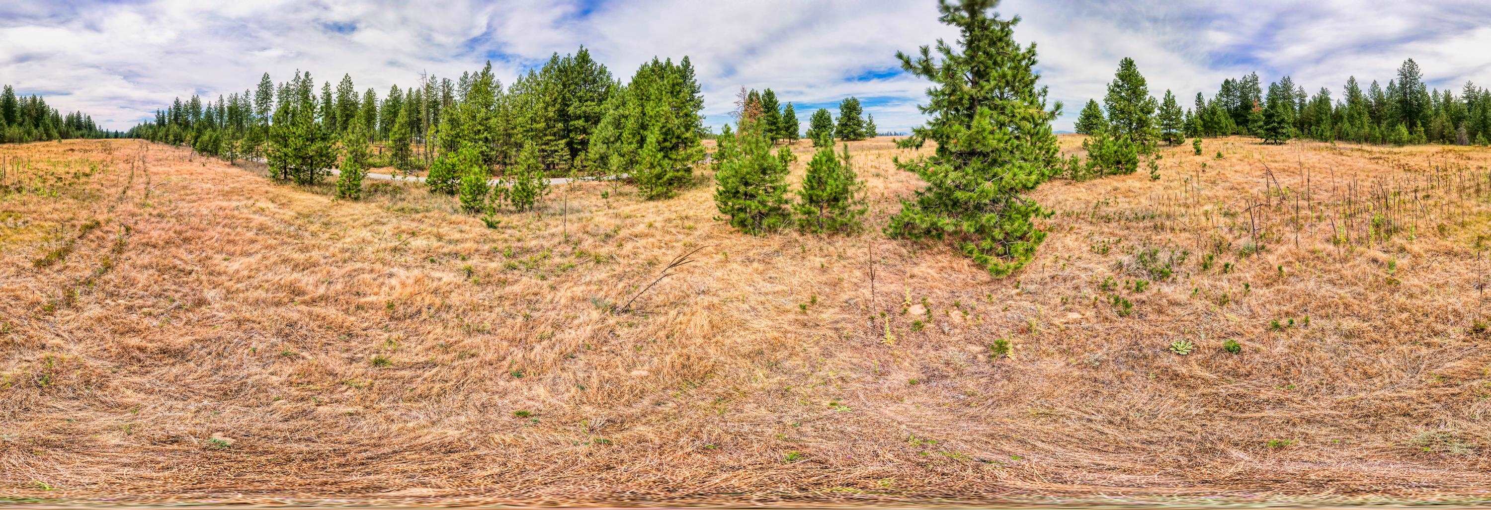 Xx West Montgomery Road Deer Park, WA 99006 - Photo 41 of 44 Gallery Image 41