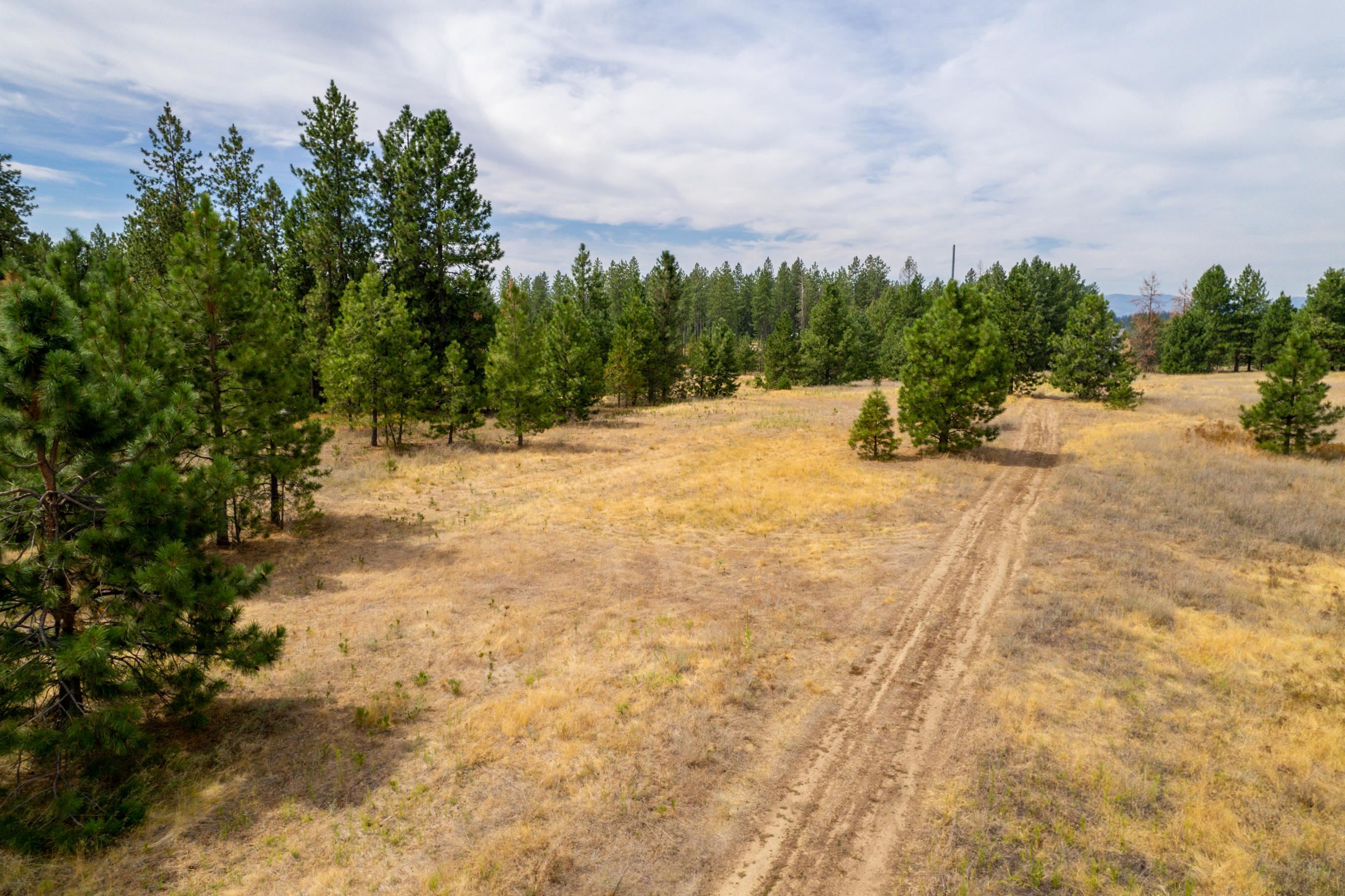 Xx West Montgomery Road Deer Park, WA 99006 - Photo 5 of 44 Gallery Image 5