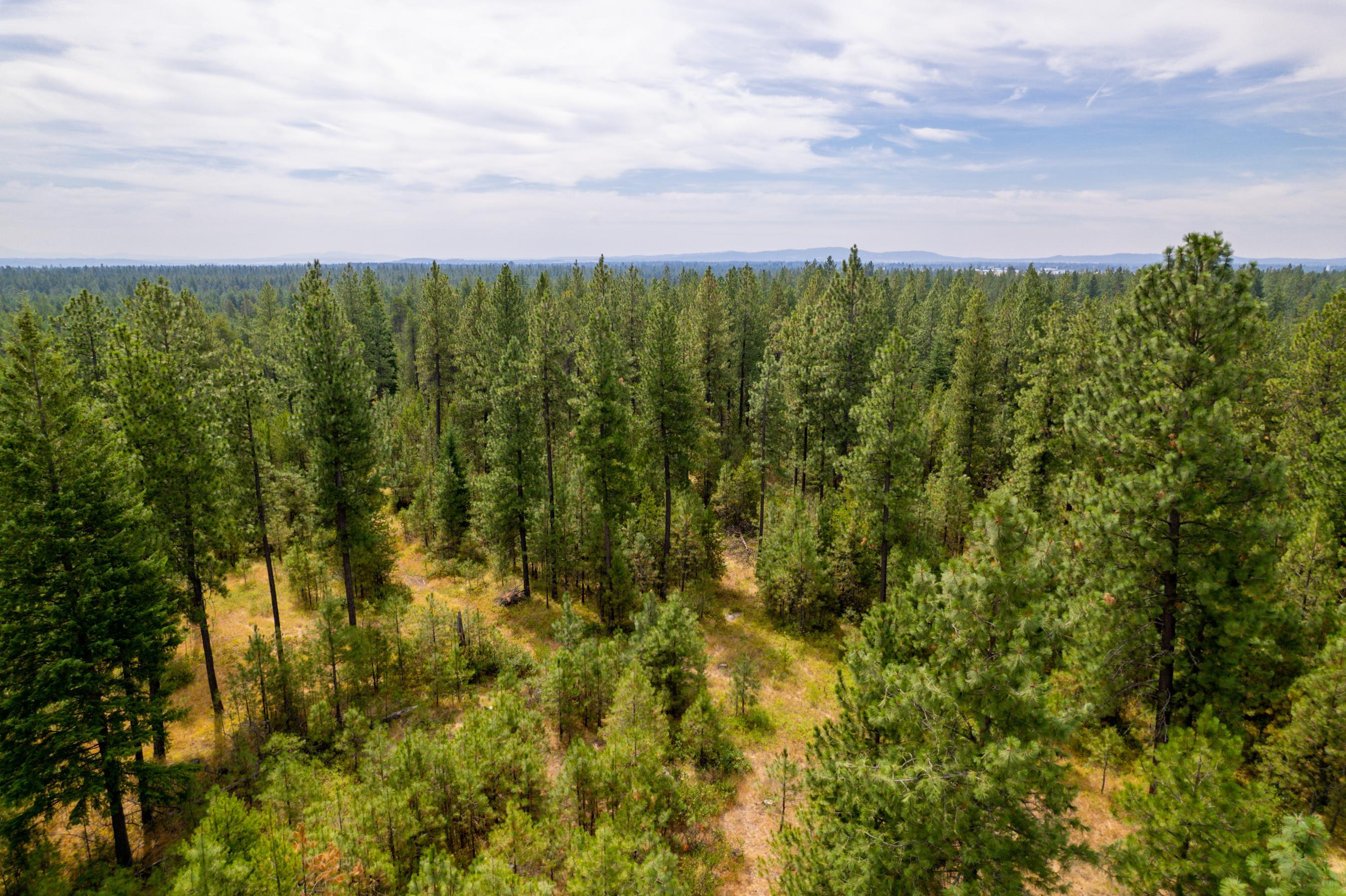 Xx West Montgomery Road Deer Park, WA 99006 - Photo 6 of 44 Gallery Image 6
