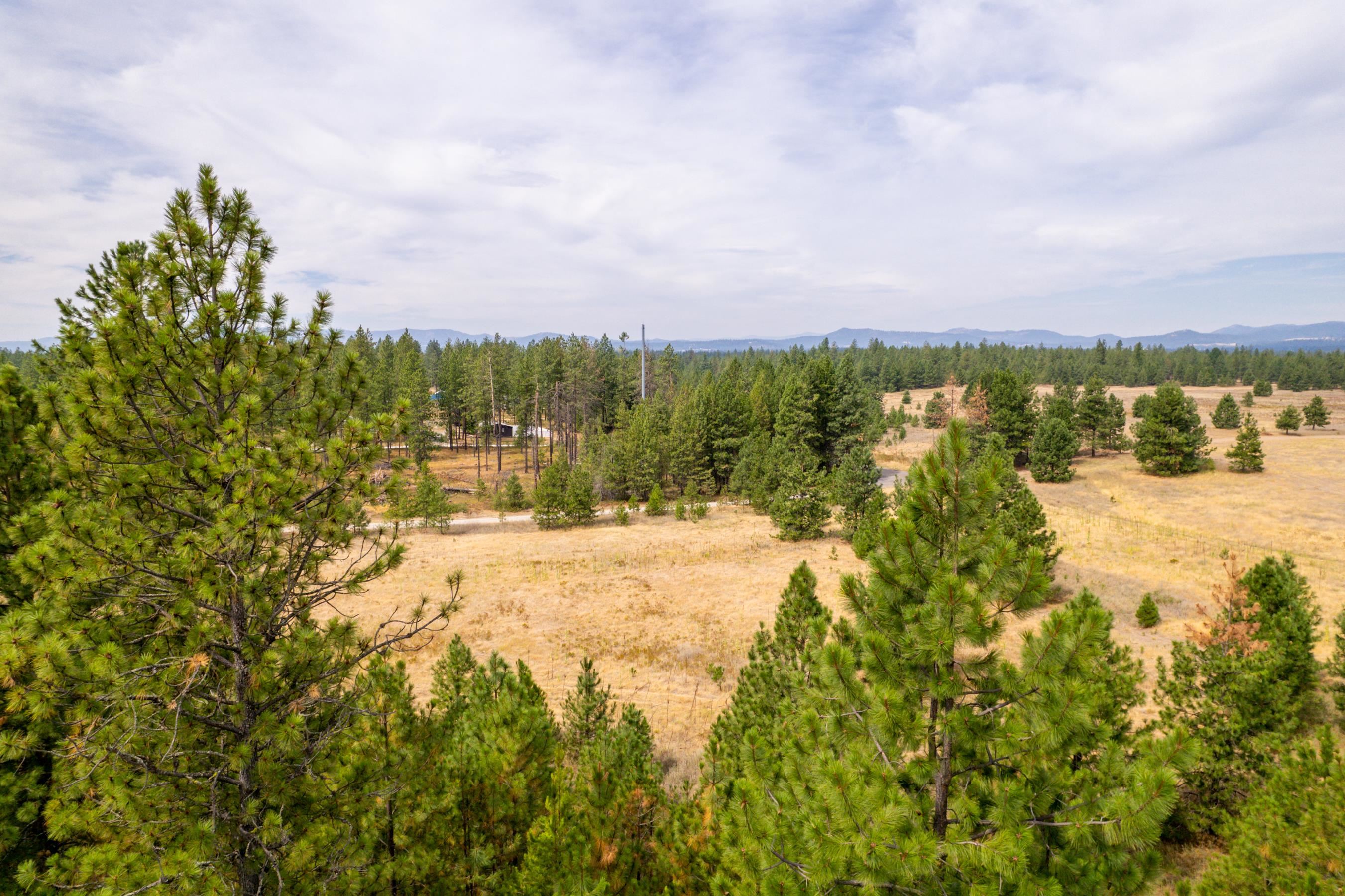 Xx West Montgomery Road Deer Park, WA 99006 - Photo 8 of 44 Gallery Image 8