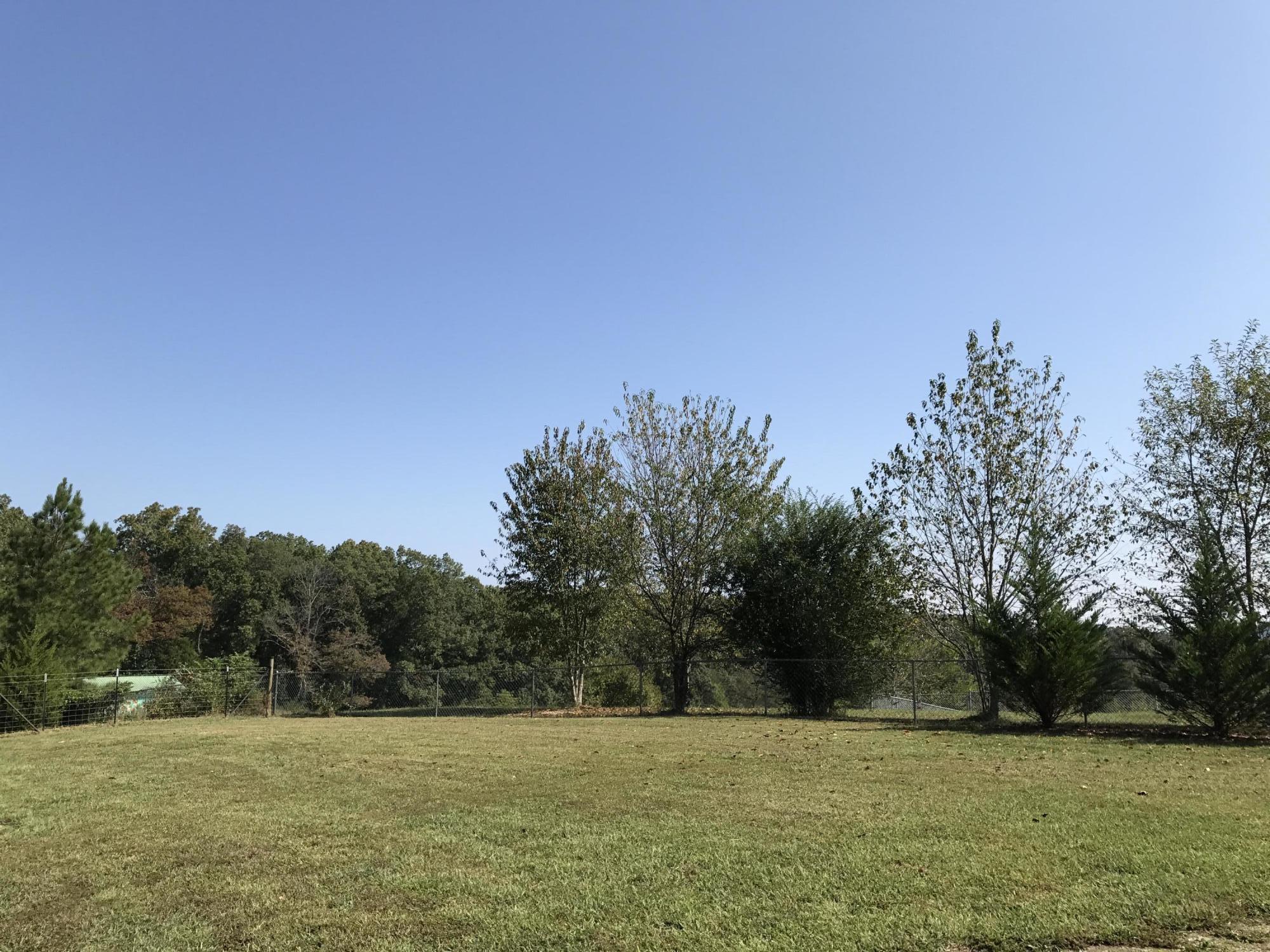 1560 Poplar Springs Road Ringgold, GA 30736 - Photo 16 of 49 Privacy Galore.
