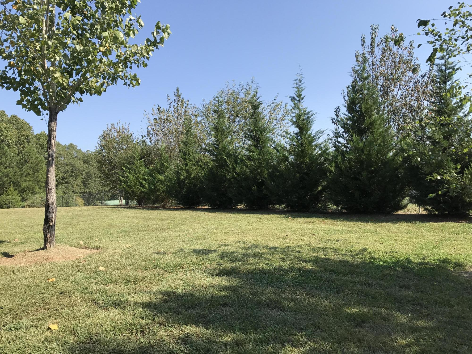 1560 Poplar Springs Road Ringgold, GA 30736 - Photo 47 of 49 View From Back Deck with privacy!