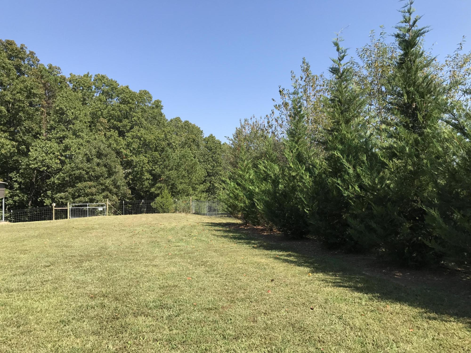 1560 Poplar Springs Road Ringgold, GA 30736 - Photo 6 of 49 Private Fenced Back of Property.