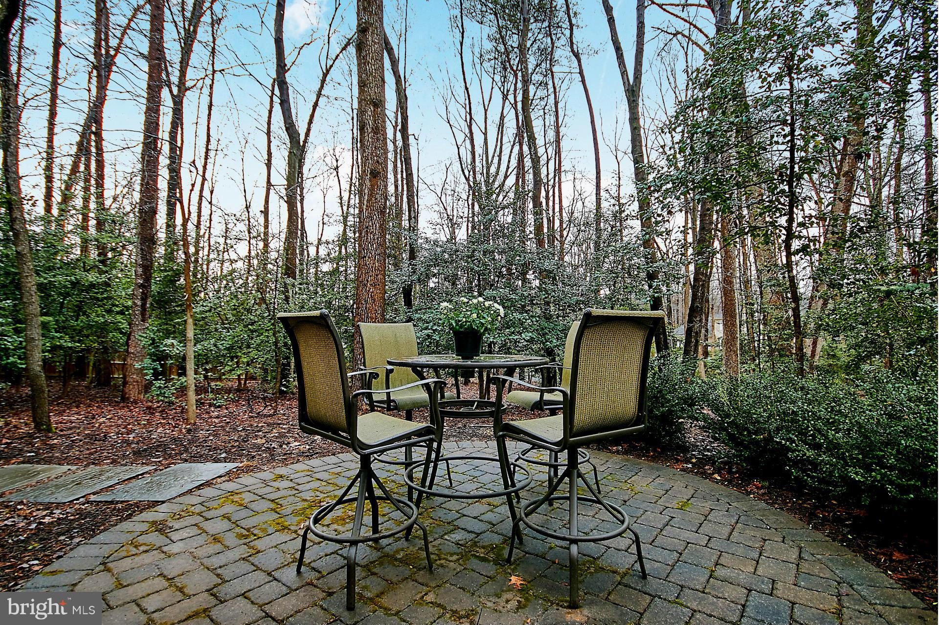 11224 Handlebar Road Reston, VA 20191 - Photo 25 of 30 Exterior (Rear)