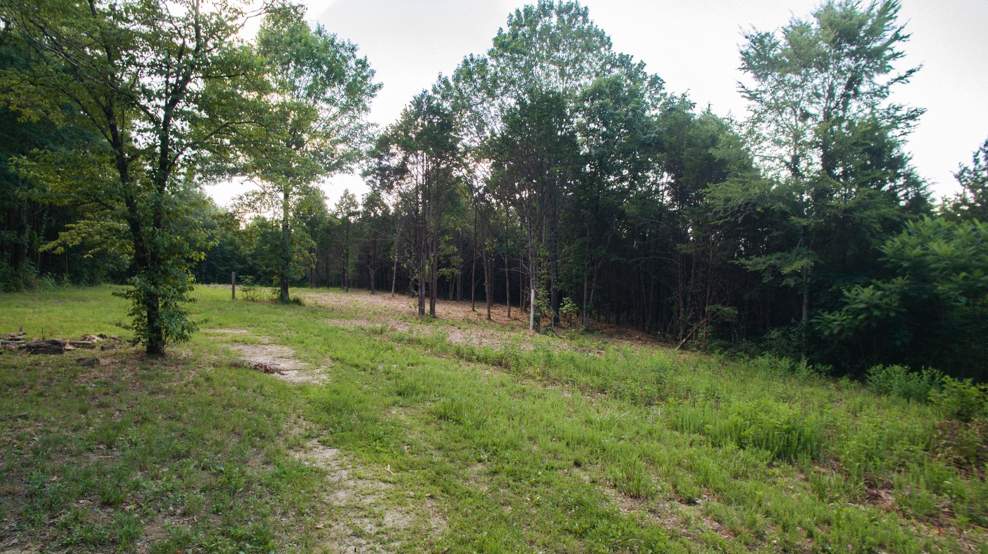 5036 Chicken Road Lebanon, TN 37090 - Photo 12 of 28 Gallery Image 12