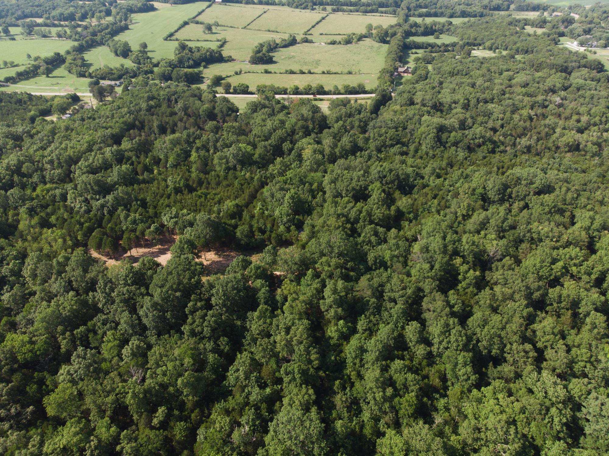 5036 Chicken Road Lebanon, TN 37090 - Photo 14 of 28 Gallery Image 14