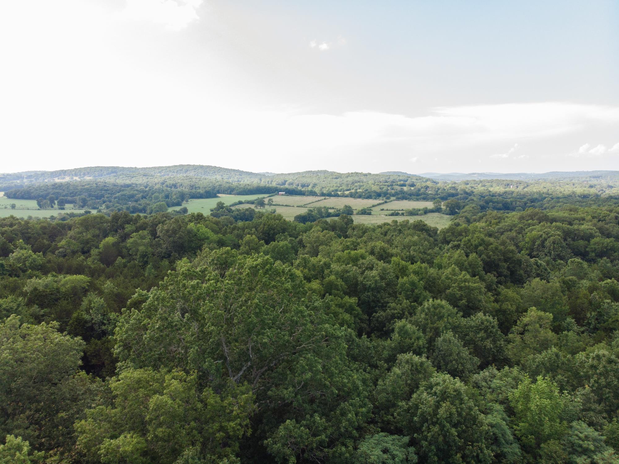 5036 Chicken Road Lebanon, TN 37090 - Photo 20 of 28 Gallery Image 20