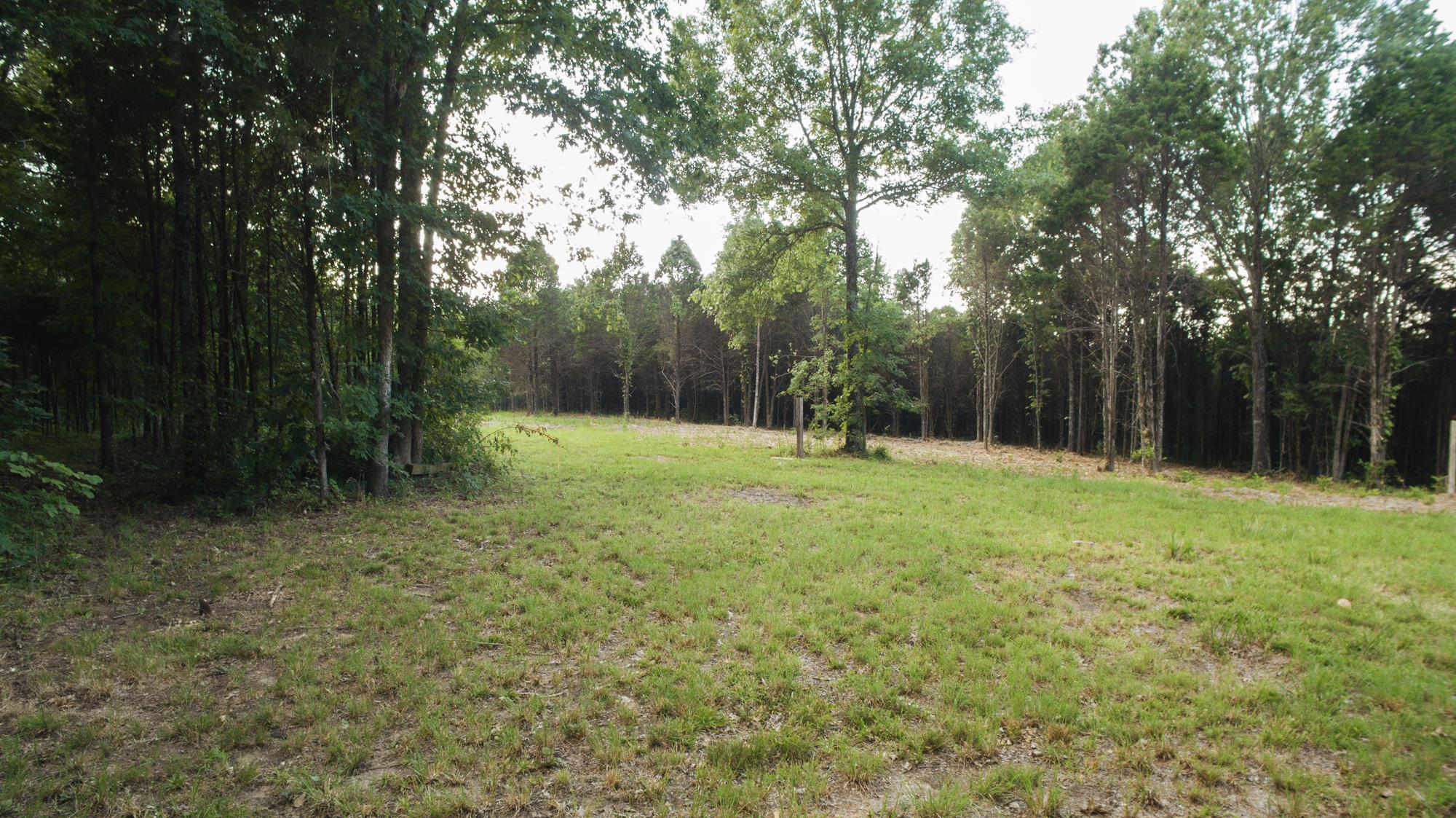 5036 Chicken Road Lebanon, TN 37090 - Photo 3 of 28 Gallery Image 3