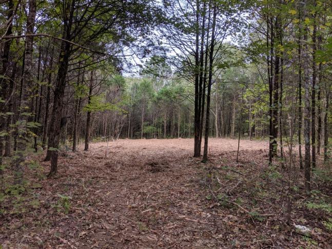 5036 Chicken Road Lebanon, TN 37090 - Photo 25 of 28 Gallery Image 25